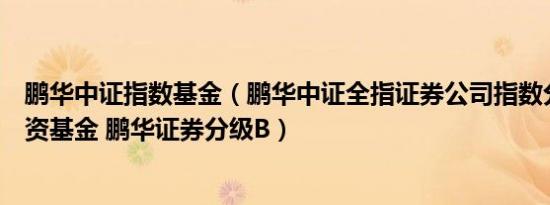 鹏华中证指数基金（鹏华中证全指证券公司指数分级证券投资基金 鹏华证券分级B）