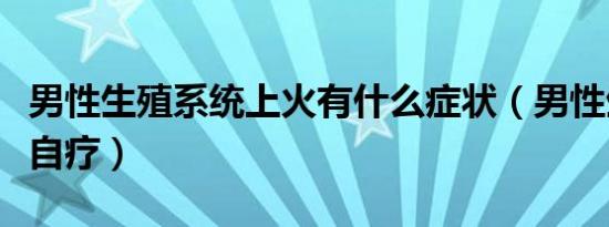 男性生殖系统上火有什么症状（男性生殖系统自疗）