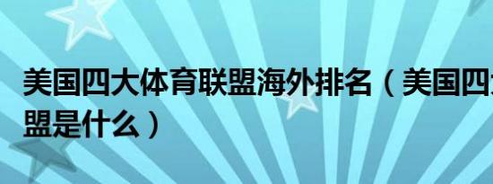 美国四大体育联盟海外排名（美国四大体育联盟是什么）