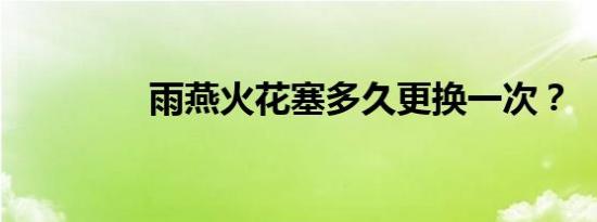 雨燕火花塞多久更换一次？