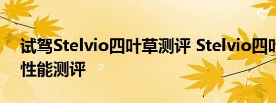 试驾Stelvio四叶草测评 Stelvio四叶草动力性能测评