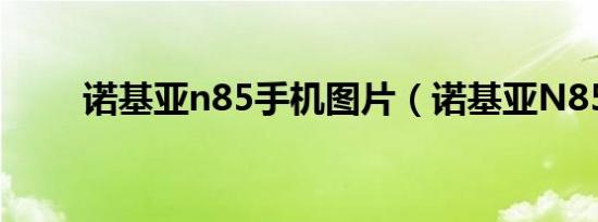 诺基亚n85手机图片（诺基亚N85）