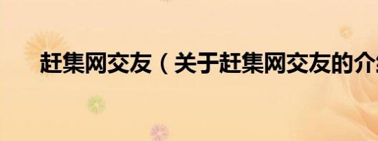 赶集网交友（关于赶集网交友的介绍）