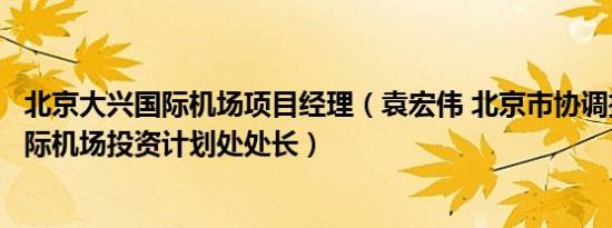 北京大兴国际机场项目经理（袁宏伟 北京市协调推进大兴国际机场投资计划处处长）