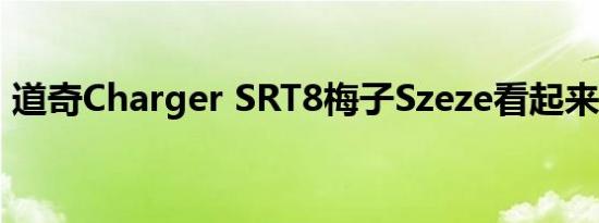 道奇Charger SRT8梅子Szeze看起来更漂亮