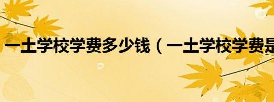 一土学校学费多少钱（一土学校学费是多少）