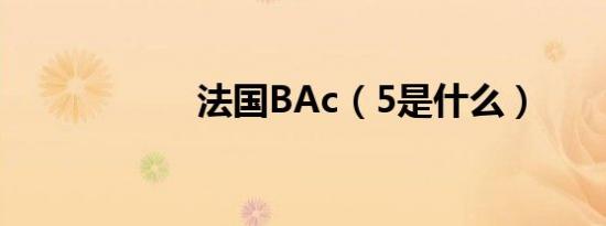 法国BAc（5是什么）