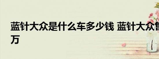 蓝针大众是什么车多少钱 蓝针大众售价多少万