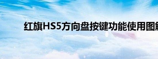 红旗HS5方向盘按键功能使用图解