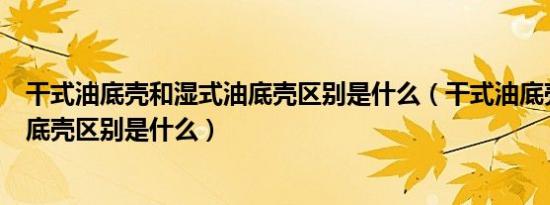 干式油底壳和湿式油底壳区别是什么（干式油底壳和湿式油底壳区别是什么）