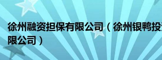 徐州融资担保有限公司（徐州银鸭投资担保有限公司）