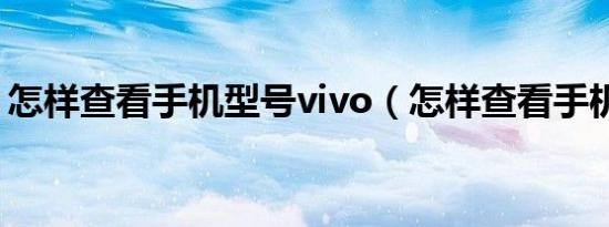 怎样查看手机型号vivo（怎样查看手机型号）