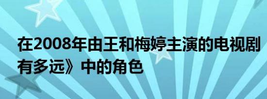 在2008年由王和梅婷主演的电视剧《幸福还有多远》中的角色