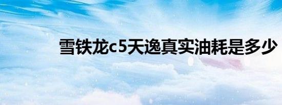 雪铁龙c5天逸真实油耗是多少