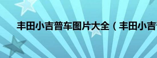 丰田小吉普车图片大全（丰田小吉普）