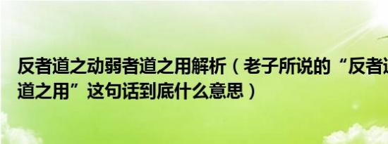 反者道之动弱者道之用解析（老子所说的“反者道之动弱者道之用”这句话到底什么意思）