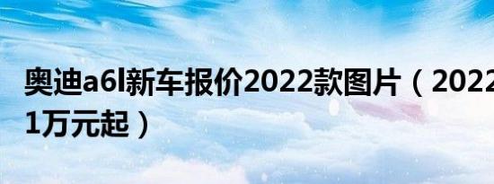 奥迪a6l新车报价2022款图片（2022款售价41万元起）