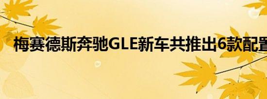 梅赛德斯奔驰GLE新车共推出6款配置车型