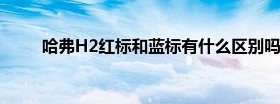 哈弗H2红标和蓝标有什么区别吗？