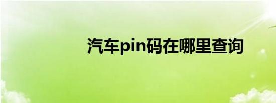 汽车pin码在哪里查询