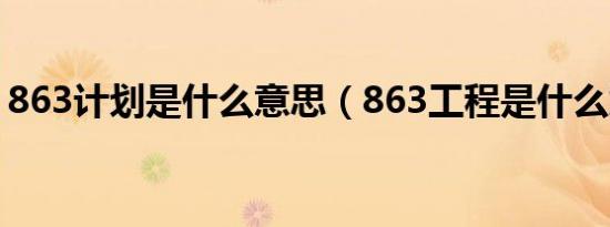 863计划是什么意思（863工程是什么意思?）