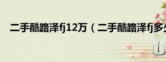 二手酷路泽fj12万（二手酷路泽fj多少钱）