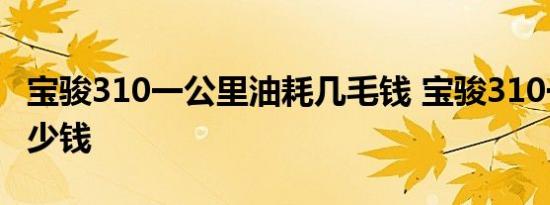 宝骏310一公里油耗几毛钱 宝骏310一公里多少钱