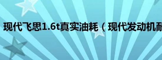 现代飞思1.6t真实油耗（现代发动机耐用吗）