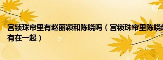 宫锁珠帘里有赵丽颖和陈晓吗（宫锁珠帘里陈晓赵丽颖有没有在一起）