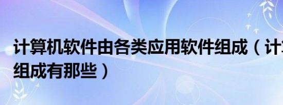 计算机软件由各类应用软件组成（计算机软件组成有那些）