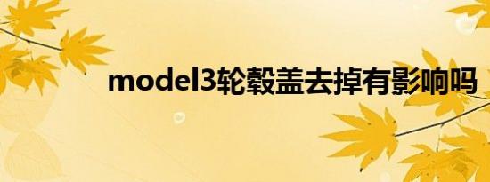 model3轮毂盖去掉有影响吗