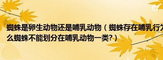 蜘蛛是卵生动物还是哺乳动物（蜘蛛存在哺乳行为,但是为什么蜘蛛不能划分在哺乳动物一类?）