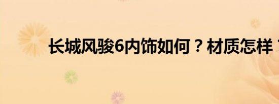 长城风骏6内饰如何？材质怎样？