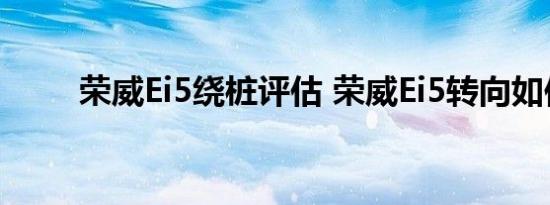 荣威Ei5绕桩评估 荣威Ei5转向如何