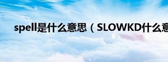 spell是什么意思（SLOWKD什么意思）