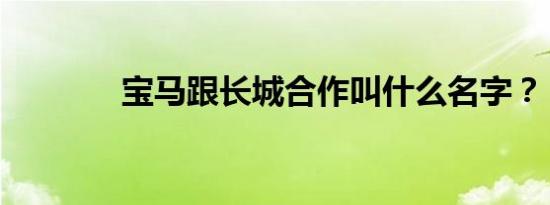 宝马跟长城合作叫什么名字？