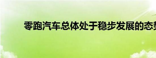 零跑汽车总体处于稳步发展的态势