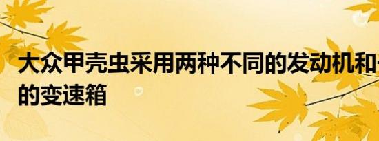 大众甲壳虫采用两种不同的发动机和一些不同的变速箱