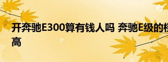 开奔驰E300算有钱人吗 奔驰E级的档次高不高