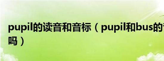 pupil的读音和音标（pupil和bus的音标一样吗）