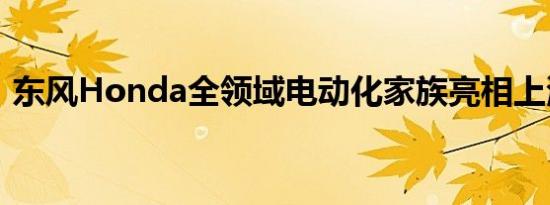 东风Honda全领域电动化家族亮相上海车展