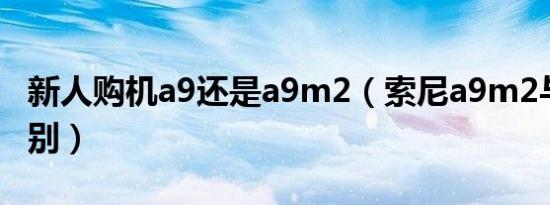 新人购机a9还是a9m2（索尼a9m2与a9的区别）