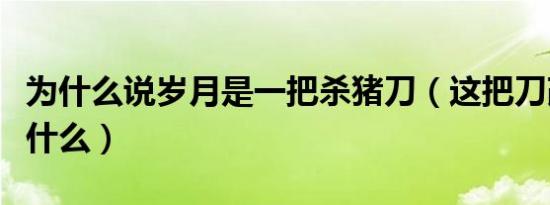 为什么说岁月是一把杀猪刀（这把刀改变了你什么）