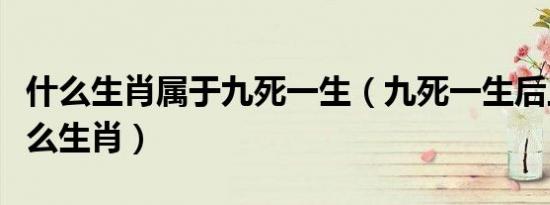 什么生肖属于九死一生（九死一生后上发是什么生肖）