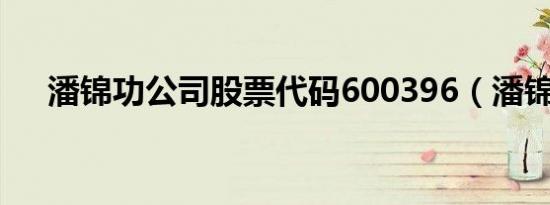 潘锦功公司股票代码600396（潘锦功）