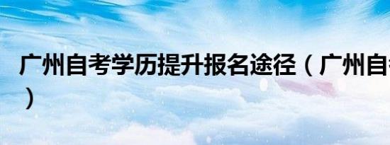 广州自考学历提升报名途径（广州自考招生网）