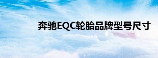 奔驰EQC轮胎品牌型号尺寸