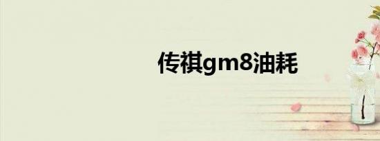 传祺gm8油耗