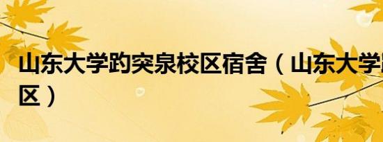 山东大学趵突泉校区宿舍（山东大学趵突泉校区）