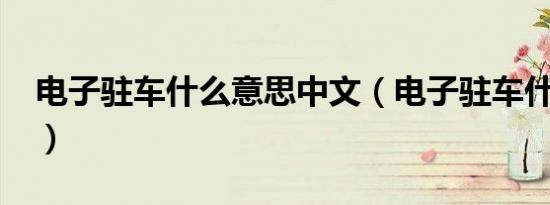 电子驻车什么意思中文（电子驻车什么意思?）